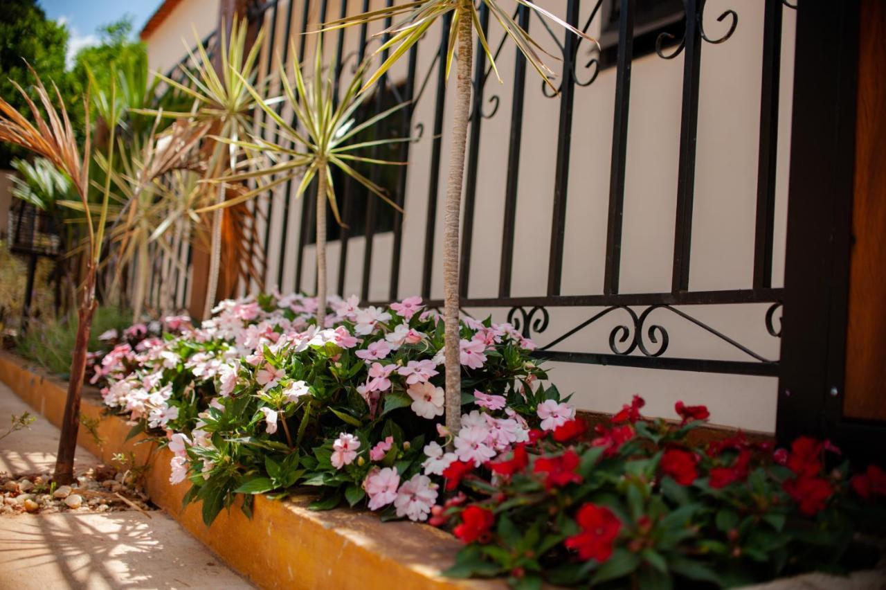 Casas E Temporada